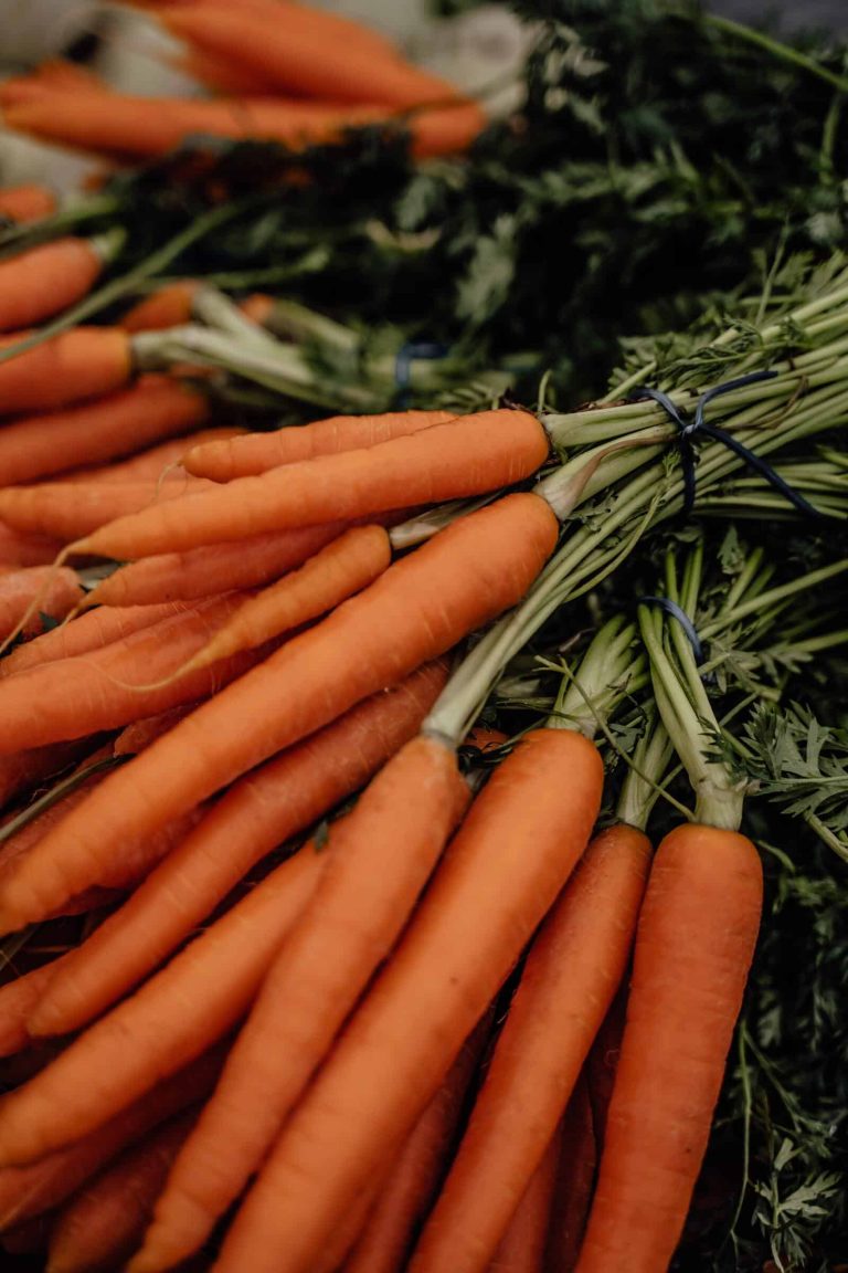 The Economic Viability of Agroecology: A Case for Smallholder Farmers