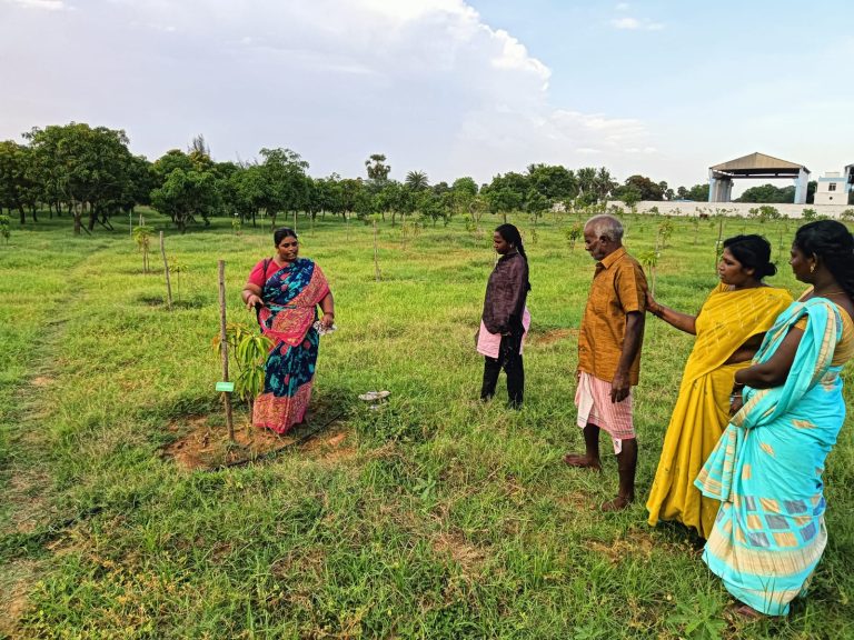 Agroecology in Chennai: A Local Approach to Global Problems
